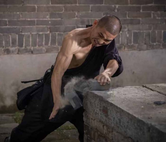 shaolin kungfu master yanyan 1